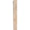 Ekena Millwork Balboa Traditional Smooth Bracket, Douglas Fir, 3 1/2"W x 16"D x 28"H BKT04X16X28BOA01SDF - alternate 3